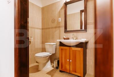 Conac de vanzare 7 camere cu bai proprii, crama, ciubar si potential - 17