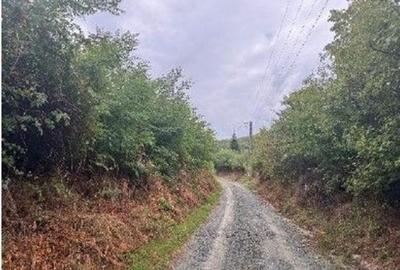 Teren Duta-Epureni, ID: R2757048 - 1