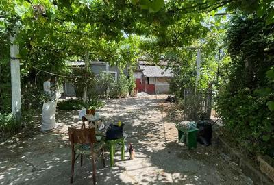 Casă cu 3 camere cu Teren 1400 Mp în Husasău de Tinca - 6