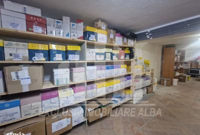 Spațiu comercial, de 400 mp, în Cetate - 11