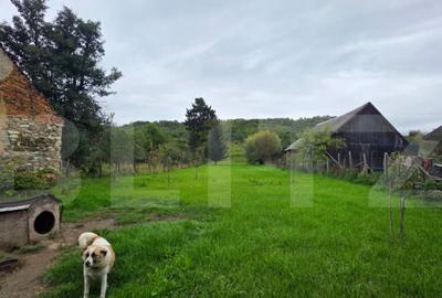 Casa de vanzare, cu 4 camere, 80 mp, satul Dorolea - 12