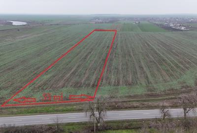 Teren Construcții intravilan de 23728 mp, în Frumușani - 2