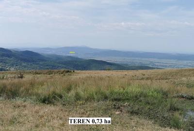 Teren de 126200 mp, în Șoimușeni - 4