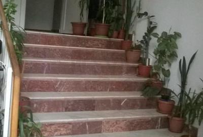 Garsonieră decomandată, mobilată în Timpuri Noi - 5