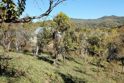 Teren cu priveli?te superba , livada ?i poten?ial casu? - 11