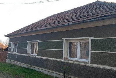 Casă cu 2 camere cu Teren 10 Mp în Ceica - 4
