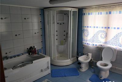 Casă cu 5 camere cu Teren 3500 Mp în Sântana - 4