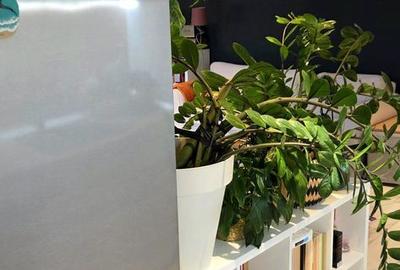 Apartament cu 2 camere în Dumbrăvița - 1