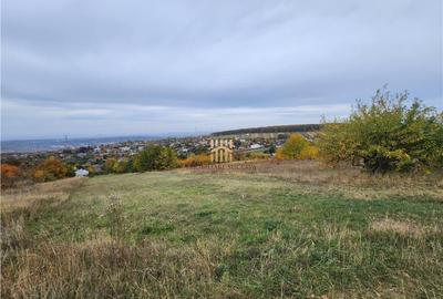 Teren Intravilan 2460 mp - Burdujeni Sat! - 11