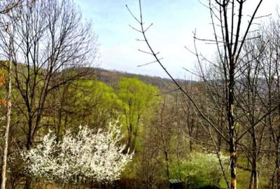 Teren de 802 mp, în Secăriei - 2