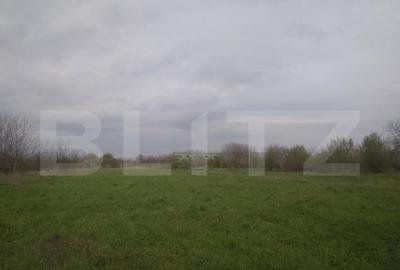 Teren intravilan, 3515 mp, zona Crevedia - 7