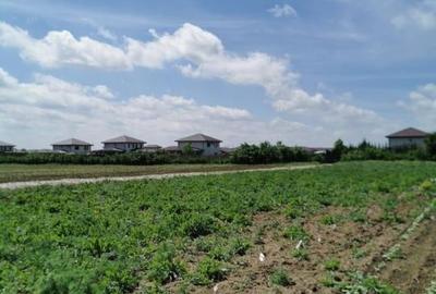 Balotesti 2 loturi de 1400mp, 2 loturi a cate 750mp - 5