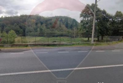 Teren în Avram Iancu (Vârfurile)