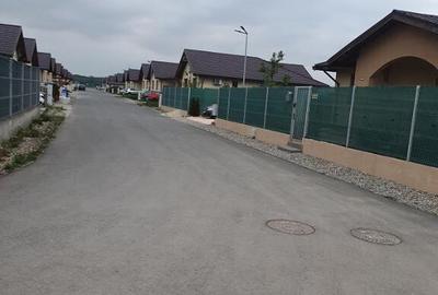 Lot teren Balotesti,langa case noi-50 m de asfalt 600mp - 8