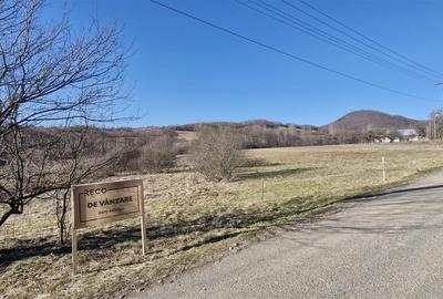 Teren Construcții intravilan de 3893 mp, în Borod