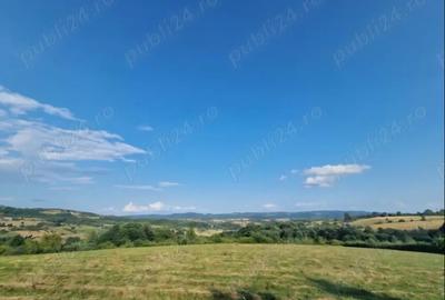 Teren de 16441 mp, în Podeni - 1