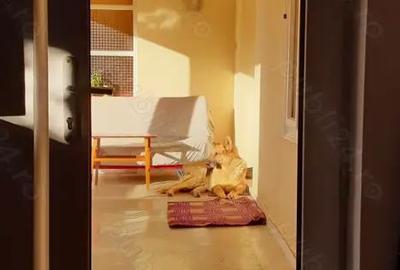 Casă cu 6 camere cu Teren 3000 Mp în Grădiștea - 3