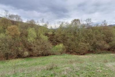 Teren în Șinca - 1