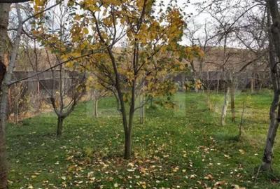 Casă cu 7 camere cu Teren 540 Mp în Zizin - 7