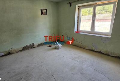 Casă cu 2 camere cu Teren 1534 Mp în Cricău - 2