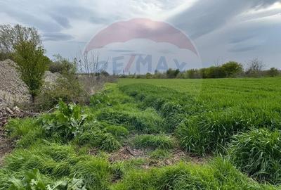 Teren Construcții intravilan de 119433 mp, în Nord - 11