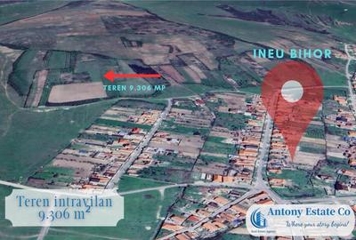 Teren de 9306 mp, în Ineu - 3
