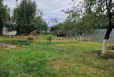 Casă cu Teren 759 Mp în Tăuții de Sus - 9