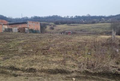 Teren Construcții intravilan de 2400 mp, în Exterior Est - 3