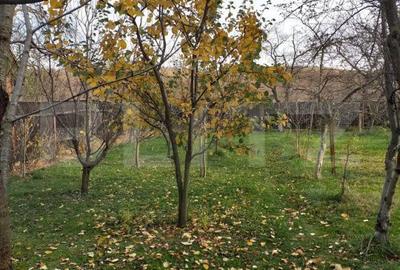 Casă cu 4 camere în Tărlungeni - 7