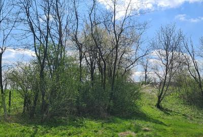 Spațiu comercial, în Stâlpeni - 2