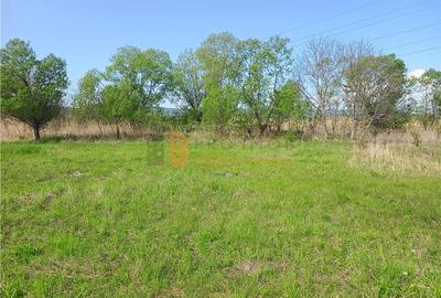 Teren agricol intravilan de 5485 mp, în Viperești - 3