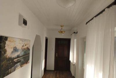 Casă cu 5 camere cu Teren 3885 Mp în Vermeș - 14
