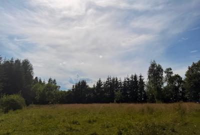 Teren agricol intravilan de 2877 mp, în Sighetu Marmației - 4