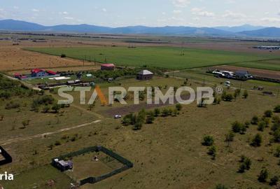 Teren de 2900 mp, în Sânpetru - 7