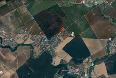 Spațiu comercial, în Găneasa - 7