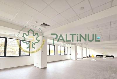 Spațiu de închiriat Turnișor, Sibiu – 427 mp, acces individual - 2