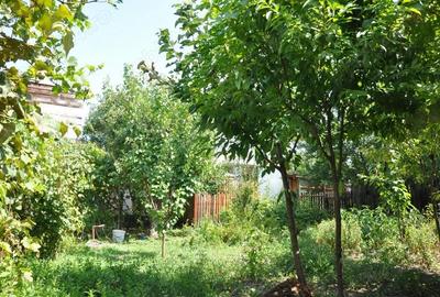 Casă cu 4 camere cu Teren 529 Mp în Central - 4