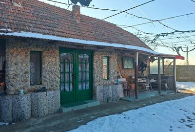 Casă cu 4 camere cu Teren 3404 Mp în Răchita - 1