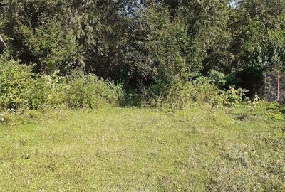 Casă cu 2 camere cu Teren 3100 Mp în Bunești (Mălureni) - 7