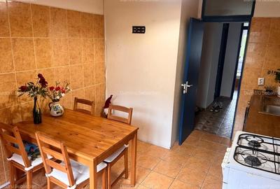 Apartament cu 3 camere, mobilat în Sebastian - 12