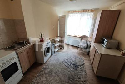 Garsoniera spatioasa la casa in apropiere de Podul Minciunil - 6