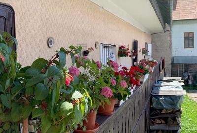 Casă cu 3 camere în Abrud - 5