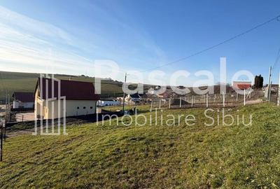 Spațiu comercial, în Șura Mare - 1