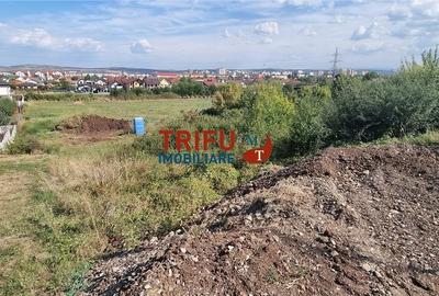 Teren de vanzare zona Piata Cetate 494 mp - 2