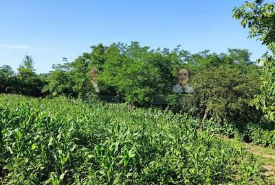 Teren de 2702 mp, în Fântâni - 5