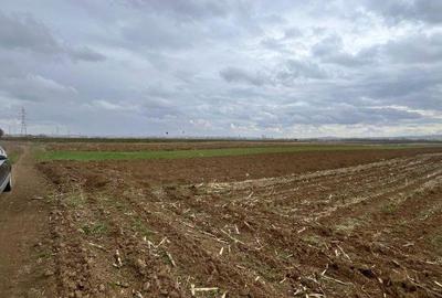 Teren de 2500 mp, în Hănțești - 1