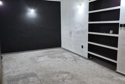 De vânzare Vilă individuala 11 camere curte proprie Parcul Carol - 9