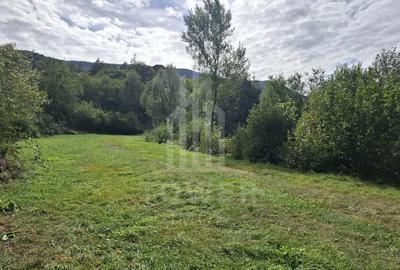 Teren de 4000 mp, în Râu Sadului - 3