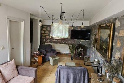 CASĂ DE VÂNZARE ÎN POUANA MĂRULUI,JUD. CARAȘ-SEVERIN - 3