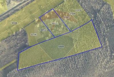 Teren / Padure 8ha Lunca Siretului. - 3